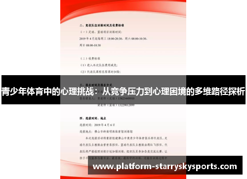 青少年体育中的心理挑战：从竞争压力到心理困境的多维路径探析