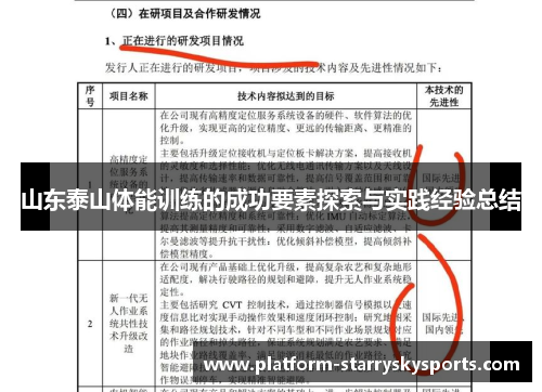 山东泰山体能训练的成功要素探索与实践经验总结