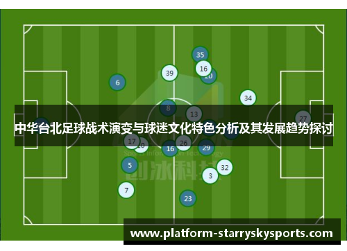 中华台北足球战术演变与球迷文化特色分析及其发展趋势探讨