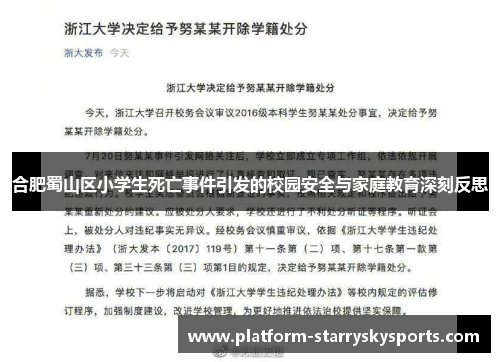 合肥蜀山区小学生死亡事件引发的校园安全与家庭教育深刻反思