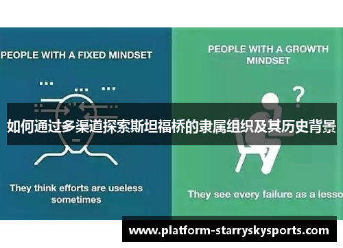 如何通过多渠道探索斯坦福桥的隶属组织及其历史背景