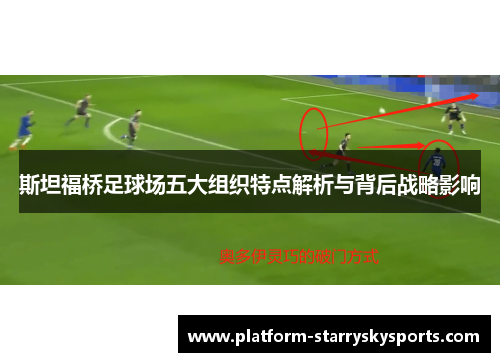 斯坦福桥足球场五大组织特点解析与背后战略影响