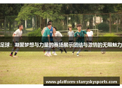 足球：凝聚梦想与力量的赛场展示团结与激情的无限魅力
