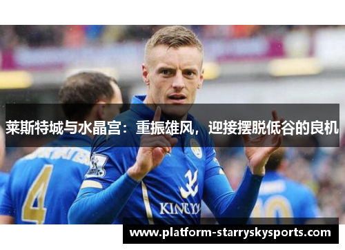 莱斯特城与水晶宫：重振雄风，迎接摆脱低谷的良机